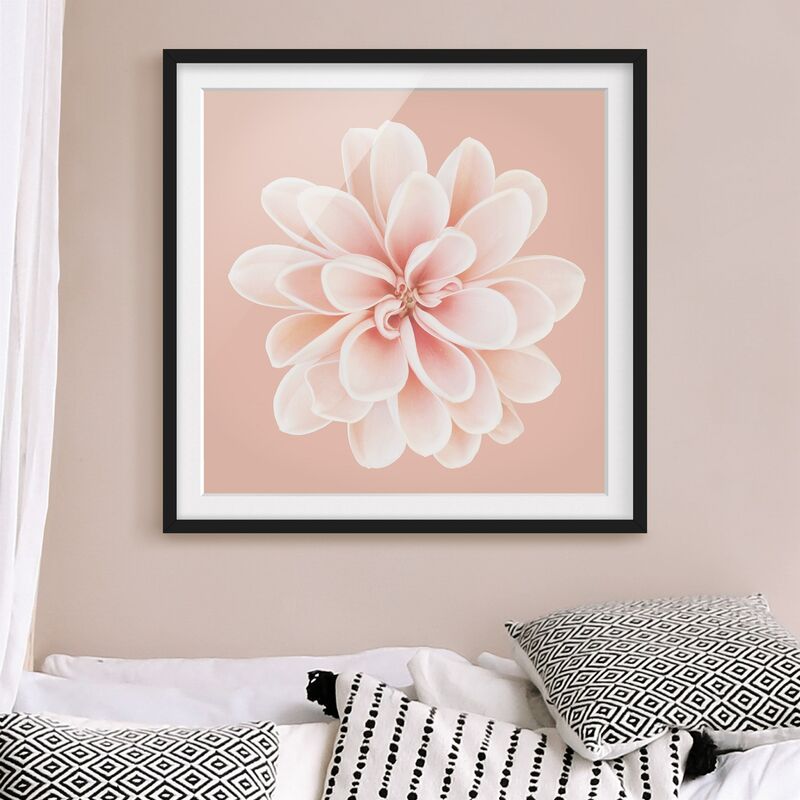 

Póster enmarcado - Dalia centrata in pastello bianco Dimensión LxA: 70cm x 70cm, Marco: Negro