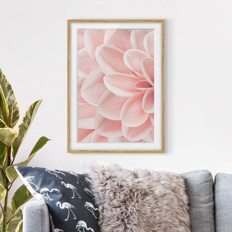 

Póster enmarcado - Dettaglio di dalia con petali rosa Dimensión LxA: 100cm x 70cm, Marco: Roble