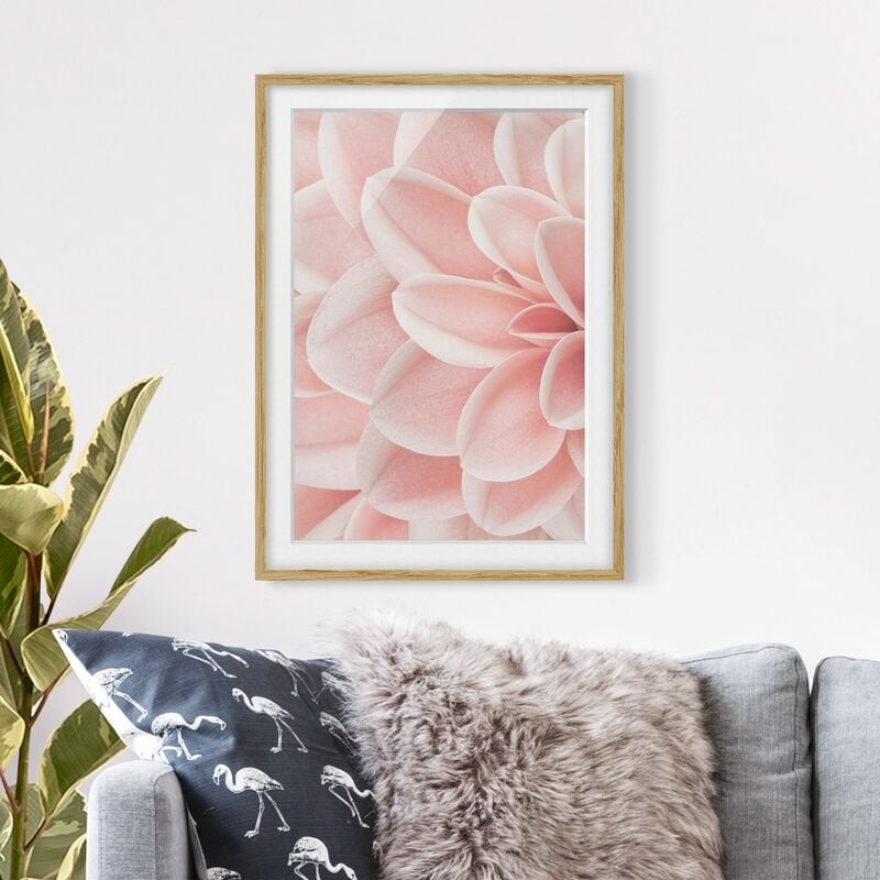 

Póster enmarcado - Dettaglio di dalia con petali rosa Dimensión LxA: 70cm x 50cm, Marco: Roble