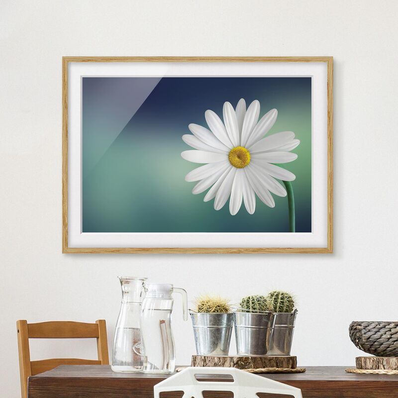 

Póster enmarcado - Daisy Close Up Dimensión LxA: 40cm x 55cm, Marco: Roble