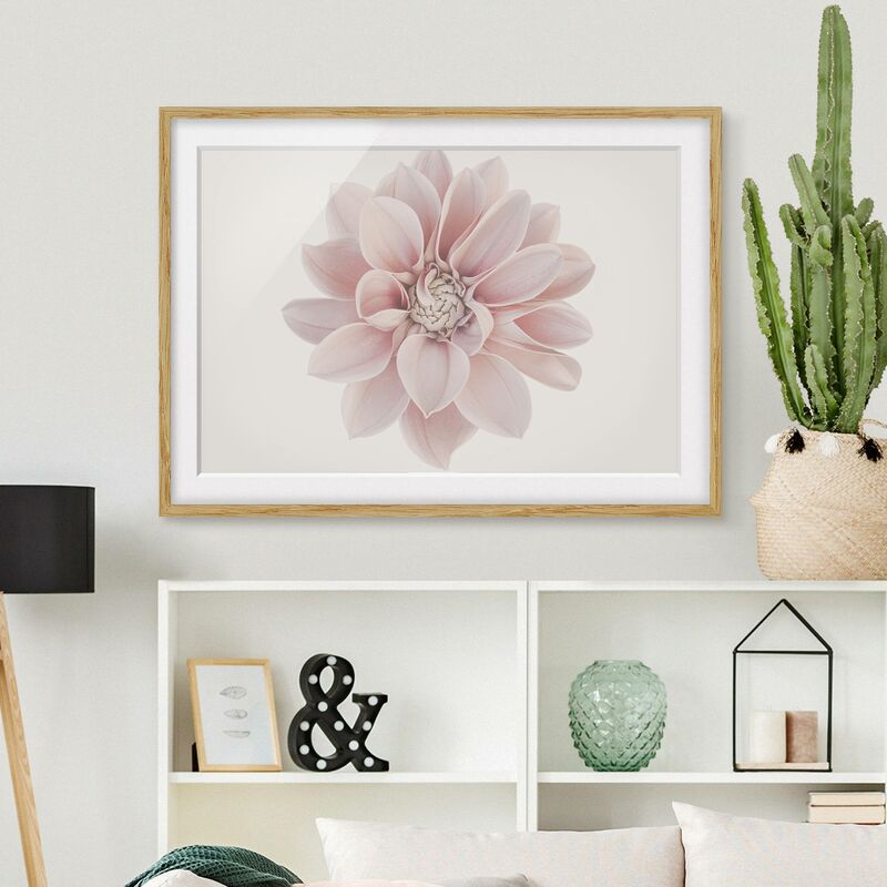 

Póster enmarcado - Dalia in pastello bianco e rosa Dimensión LxA: 40cm x 55cm, Marco: Roble