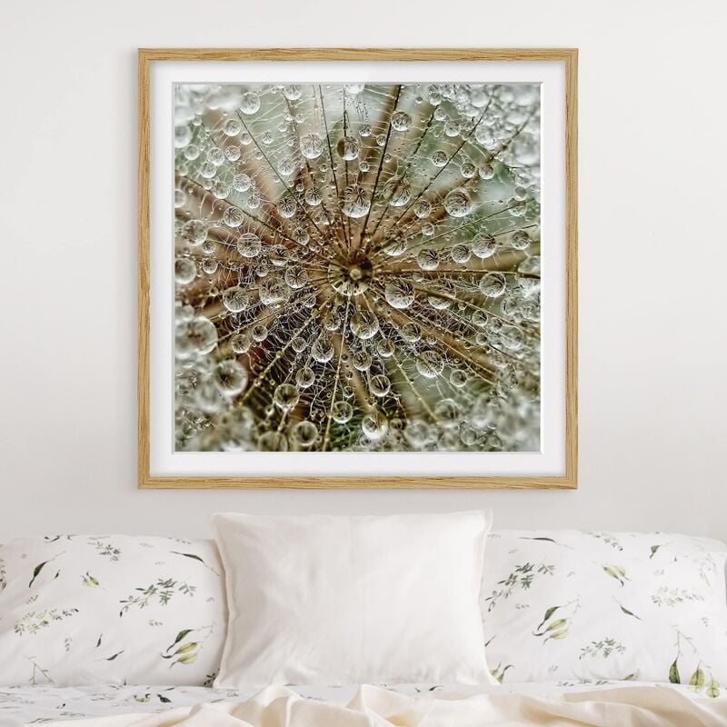 

Póster enmarcado - Dandelion In Autumn Dimensión LxA: 20cm x 20cm, Marco: Roble