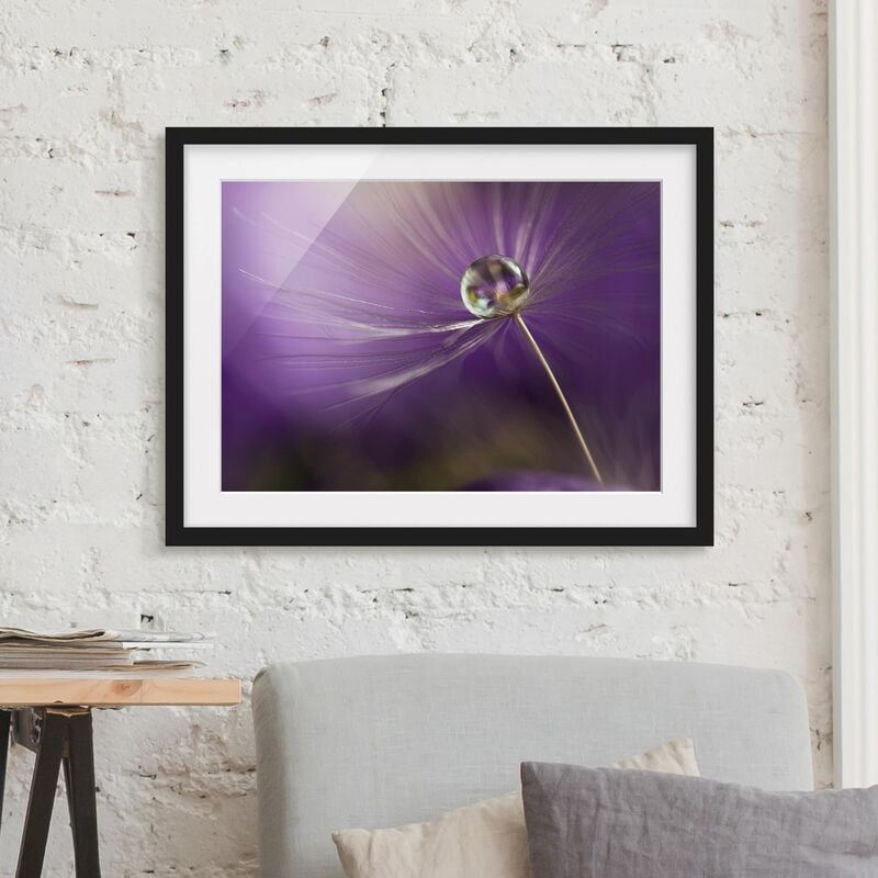 

Póster enmarcado - Dandelion In Violet Dimensión LxA: 50cm x 70cm, Marco: Negro