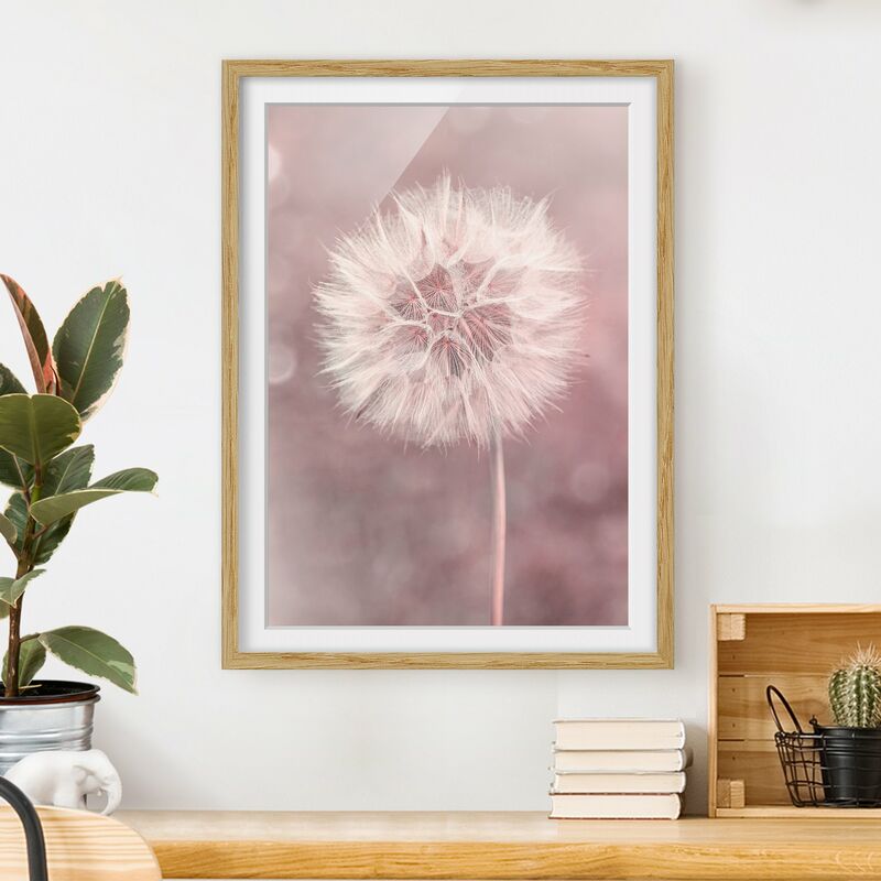 

Póster enmarcado - Dandelion rosa bokeh Dimensión LxA: 70cm x 50cm, Marco: Roble