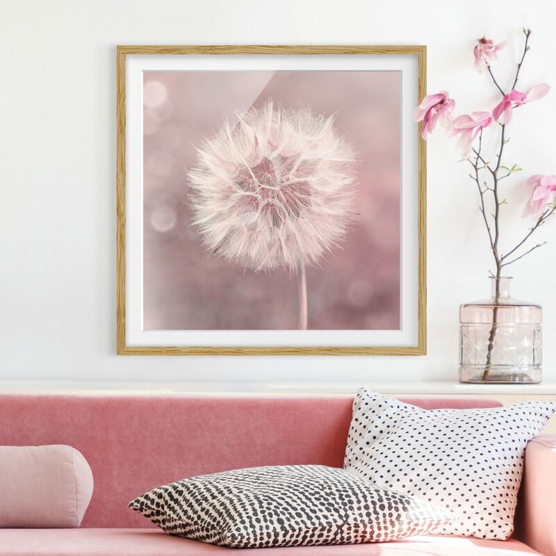 

Póster enmarcado - Dandelion rosa bokeh Dimensión LxA: 50cm x 50cm, Marco: Roble