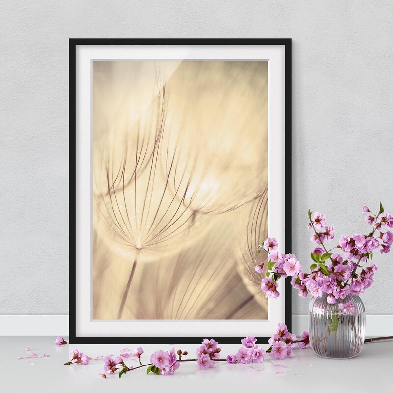 

Póster enmarcado - Dandelions Close-Up In Sepia Dimensión LxA: 100cm x 70cm, Marco: Negro