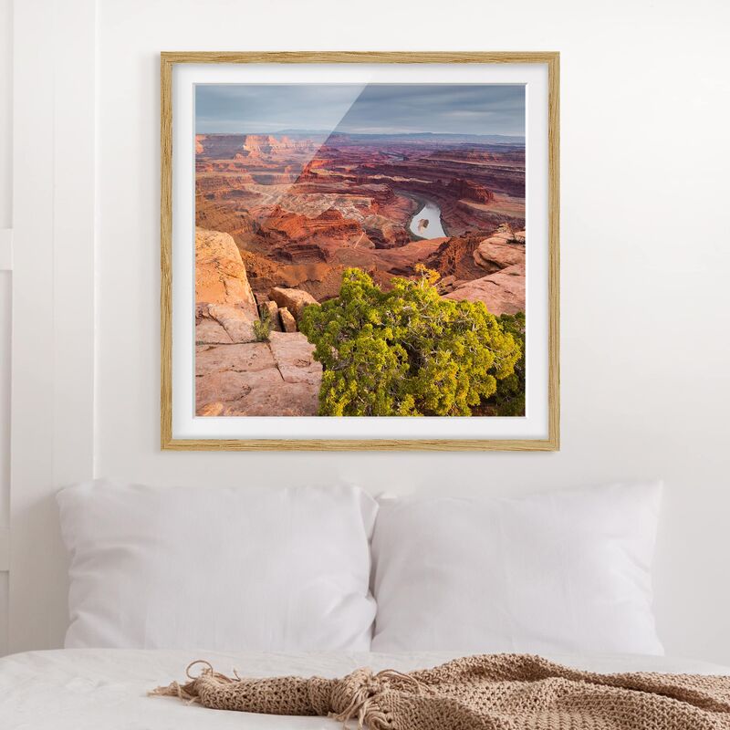 

Póster enmarcado - Dead Horse Point Canyonlands National Park Usa Dimensión LxA: 50cm x 50cm, Marco: Roble