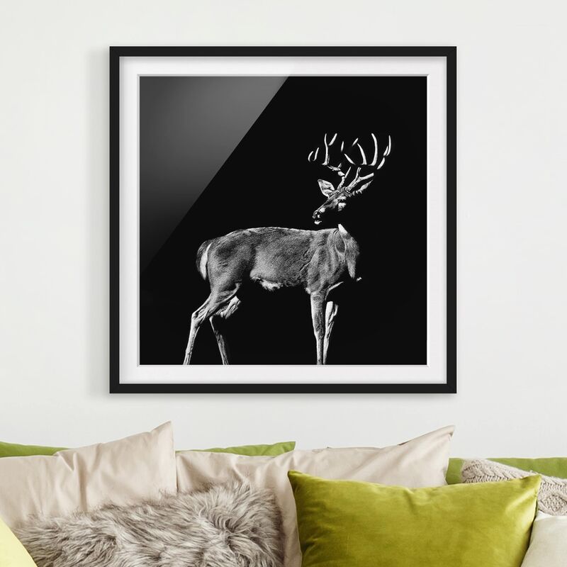 

Póster enmarcado - Deer In The Dark Dimensión LxA: 20cm x 20cm, Marco: Negro