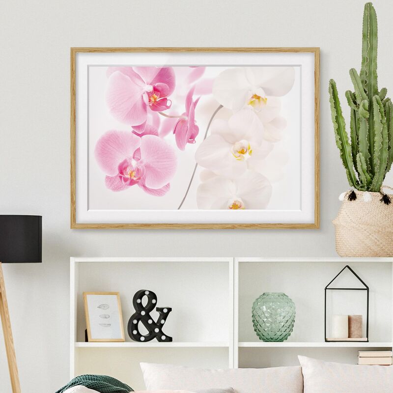 

Póster enmarcado - Delicate Orchids Dimensión LxA: 50cm x 70cm, Marco: Roble