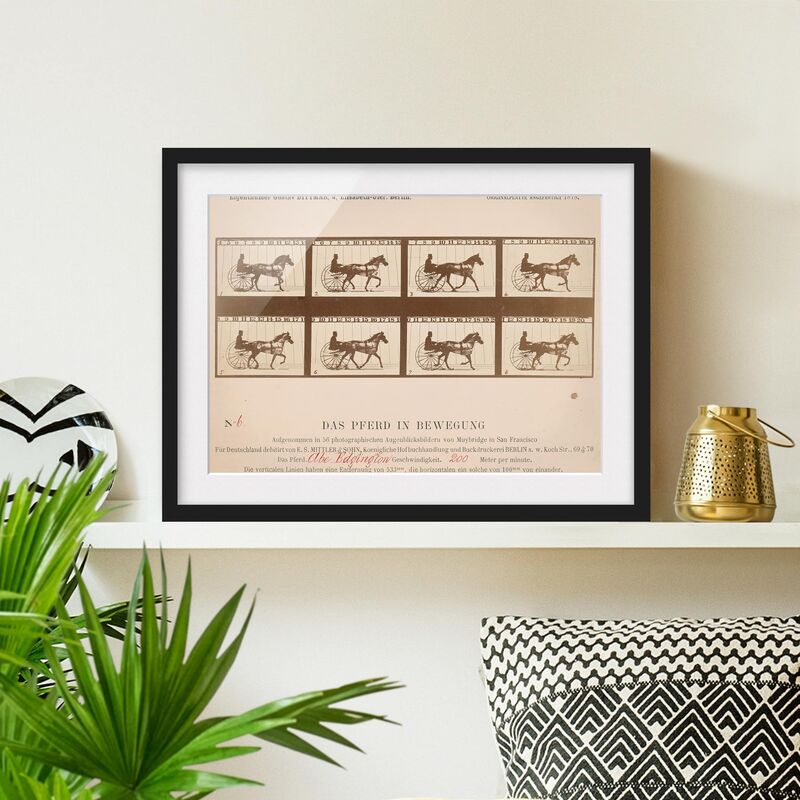 

Póster enmarcado - Eadweard Muybridge - The Horse In Motion Dimensión LxA: 18cm x 24cm, Marco: Negro