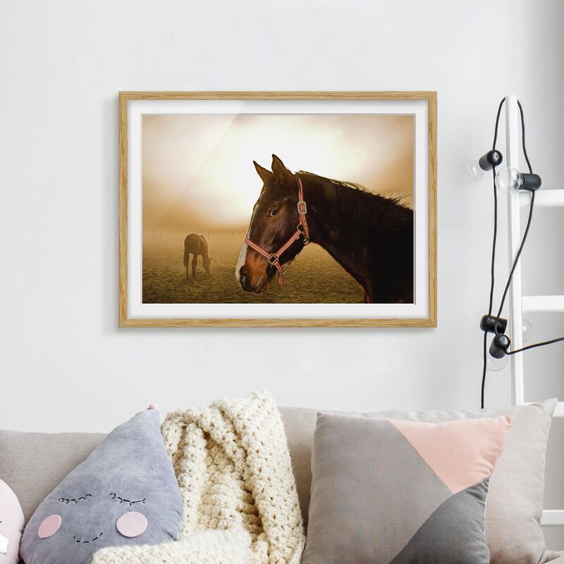 

Póster enmarcado - Early Horse Dimensión LxA: 18cm x 24cm, Marco: Roble