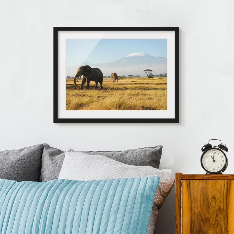 

Póster enmarcado - Elephants In Front Of The Kilimanjaro In Kenya Dimensión LxA: 70cm x 100cm, Marco: Negro