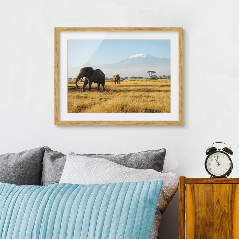 

Póster enmarcado - Elephants In Front Of The Kilimanjaro In Kenya Dimensión LxA: 40cm x 55cm, Marco: Roble