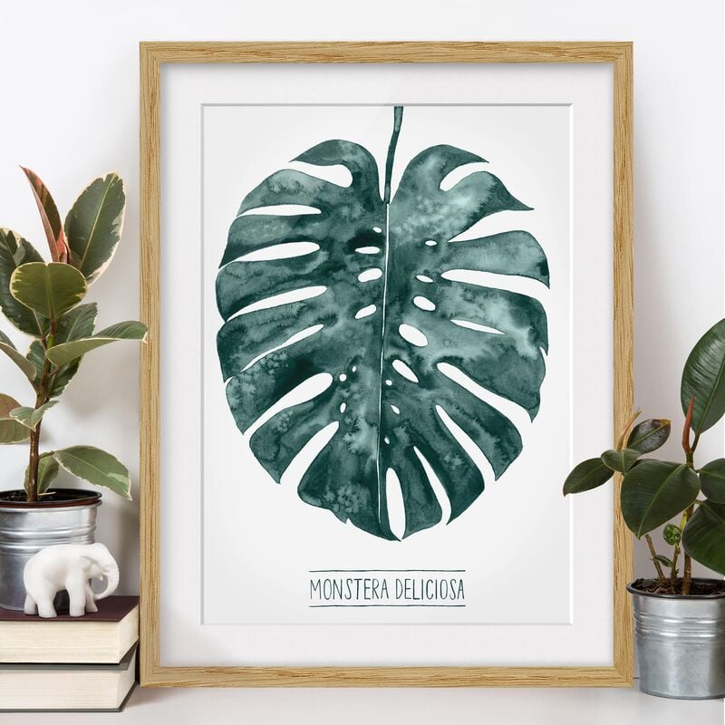 

Póster enmarcado - Emerald Green Monstera Deliciosa Dimensión LxA: 70cm x 50cm, Marco: Roble