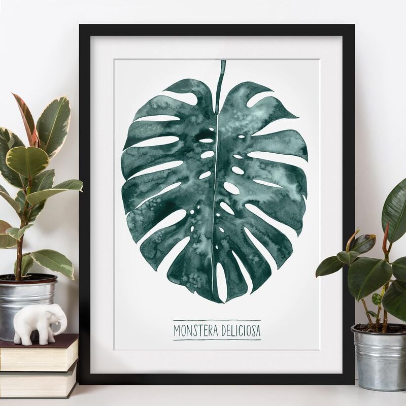 

Póster enmarcado - Emerald Green Monstera Deliciosa Dimensión LxA: 55cm x 40cm, Marco: Negro