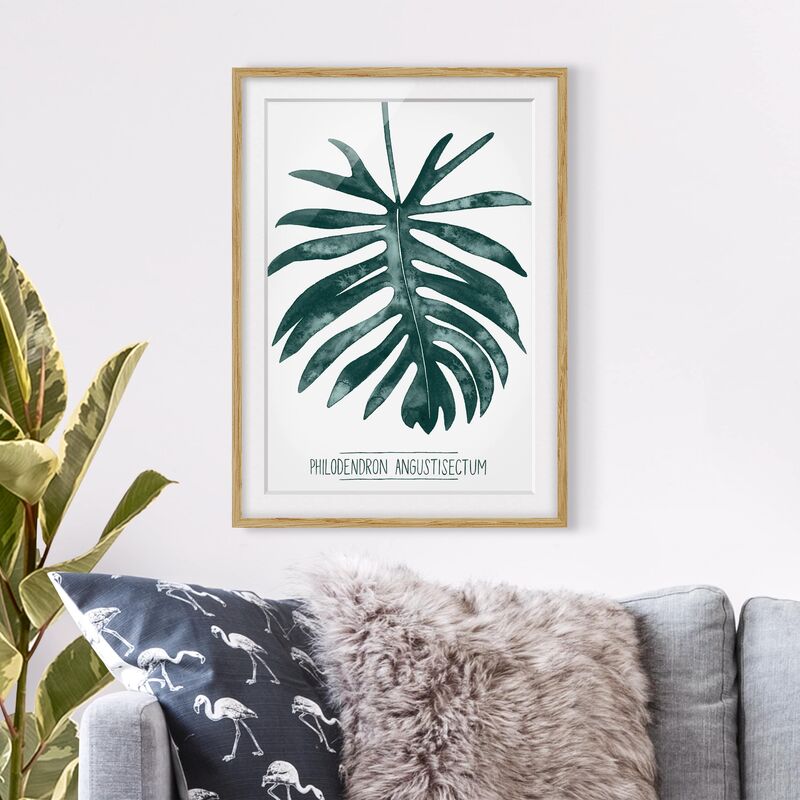 

Póster enmarcado - Emerald Philodendron Angustisectum Dimensión LxA: 55cm x 40cm, Marco: Roble