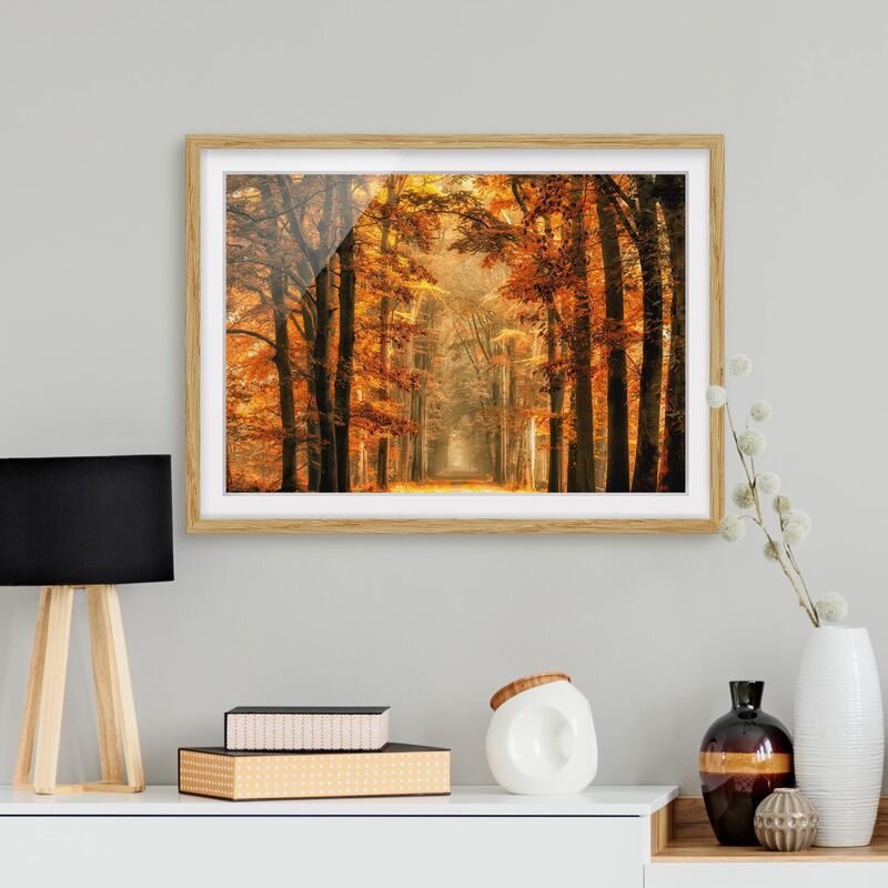 

Póster enmarcado - Enchanted Forest In Autumn Dimensión LxA: 70cm x 100cm, Marco: Roble