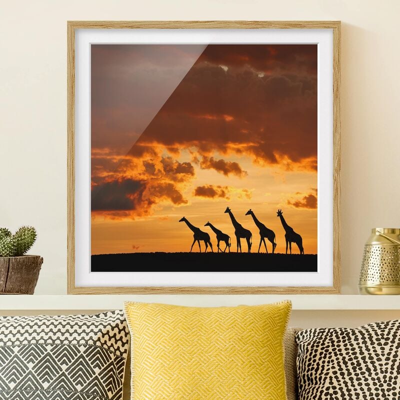

Póster enmarcado - Five Giraffes Dimensión LxA: 30cm x 30cm, Marco: Roble