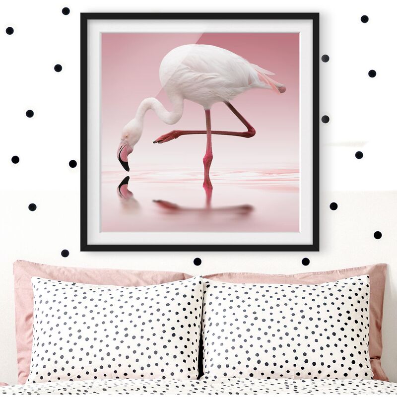 

Póster enmarcado - Flamingo Dance Dimensión LxA: 50cm x 50cm, Marco: Negro
