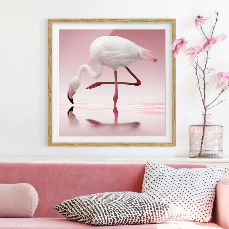 

Póster enmarcado - Flamingo Dance Dimensión LxA: 70cm x 70cm, Marco: Roble