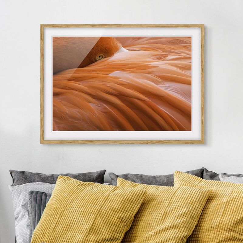 

Póster enmarcado - Flamingo Feathers Dimensión LxA: 18cm x 24cm, Marco: Roble