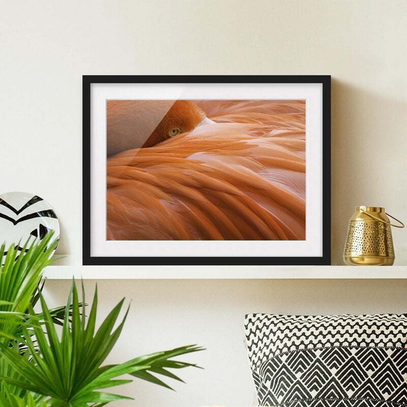

Póster enmarcado - Flamingo Feathers Dimensión LxA: 18cm x 24cm, Marco: Negro