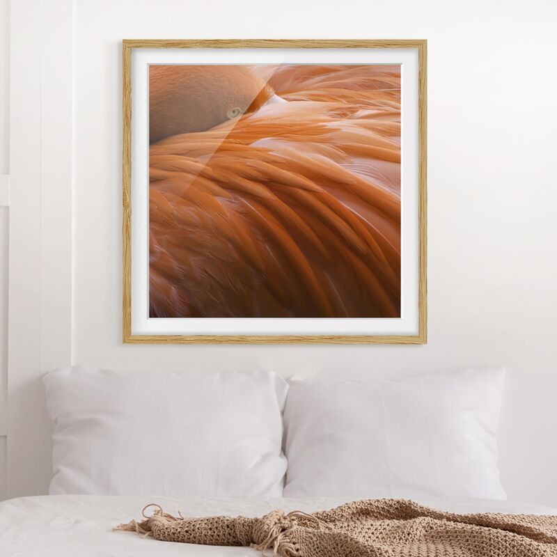 

Póster enmarcado - Flamingo Feathers Dimensión LxA: 70cm x 70cm, Marco: Roble