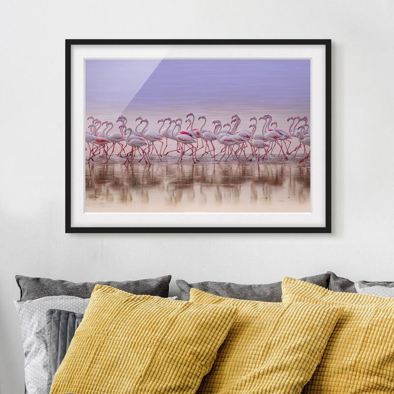 

Póster enmarcado - Flamingo partito Dimensión LxA: 18cm x 24cm, Marco: Negro