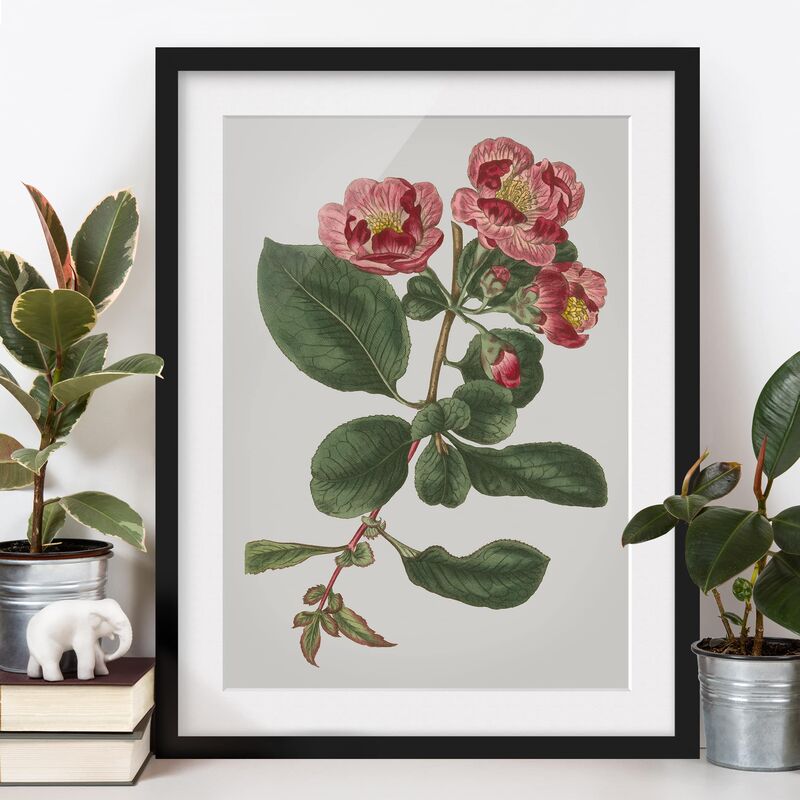 

Póster enmarcado - Floral Gioielli I Dimensión LxA: 24cm x 18cm, Marco: Negro