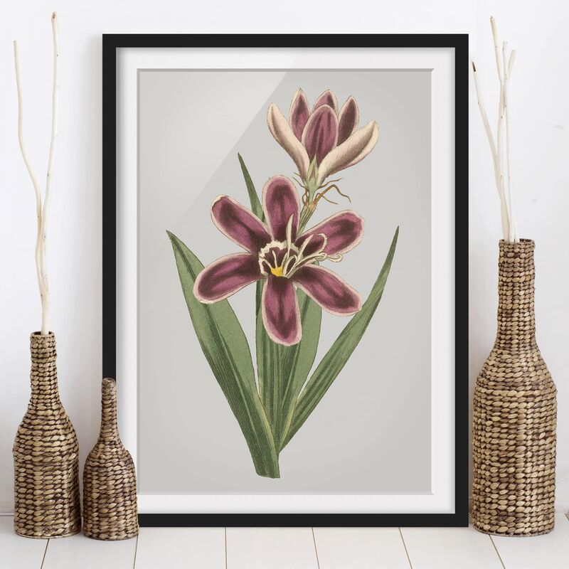 

Póster enmarcado - Gioielli Floral Ii Dimensión LxA: 55cm x 40cm, Marco: Negro