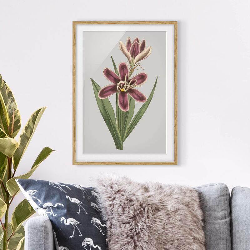 

Póster enmarcado - Gioielli Floral Ii Dimensión LxA: 100cm x 70cm, Marco: Roble