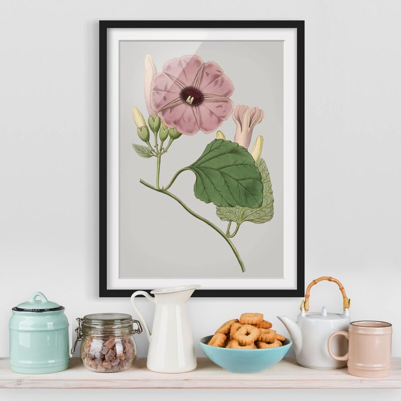 

Póster enmarcado - Gioielli Floreale Iii Dimensión LxA: 70cm x 50cm, Marco: Negro