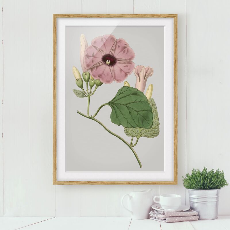 

Póster enmarcado - Gioielli Floreale Iii Dimensión LxA: 40cm x 30cm, Marco: Roble