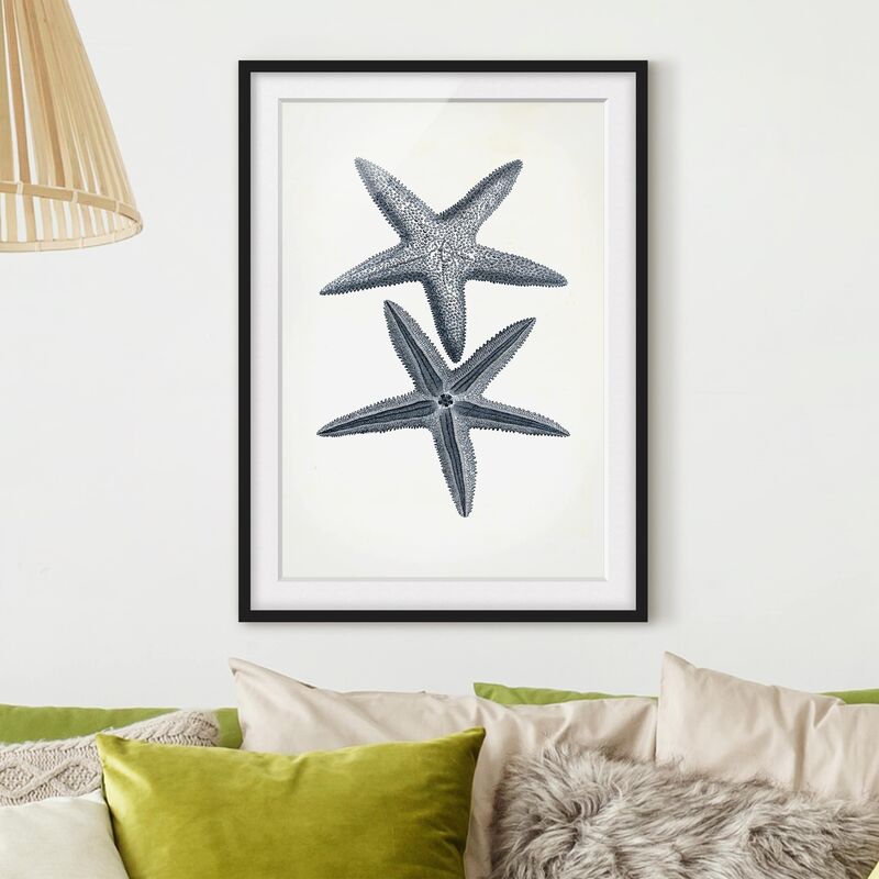 

Póster enmarcado - Flotsam A Marina Ii Dimensión LxA: 24cm x 18cm, Marco: Negro