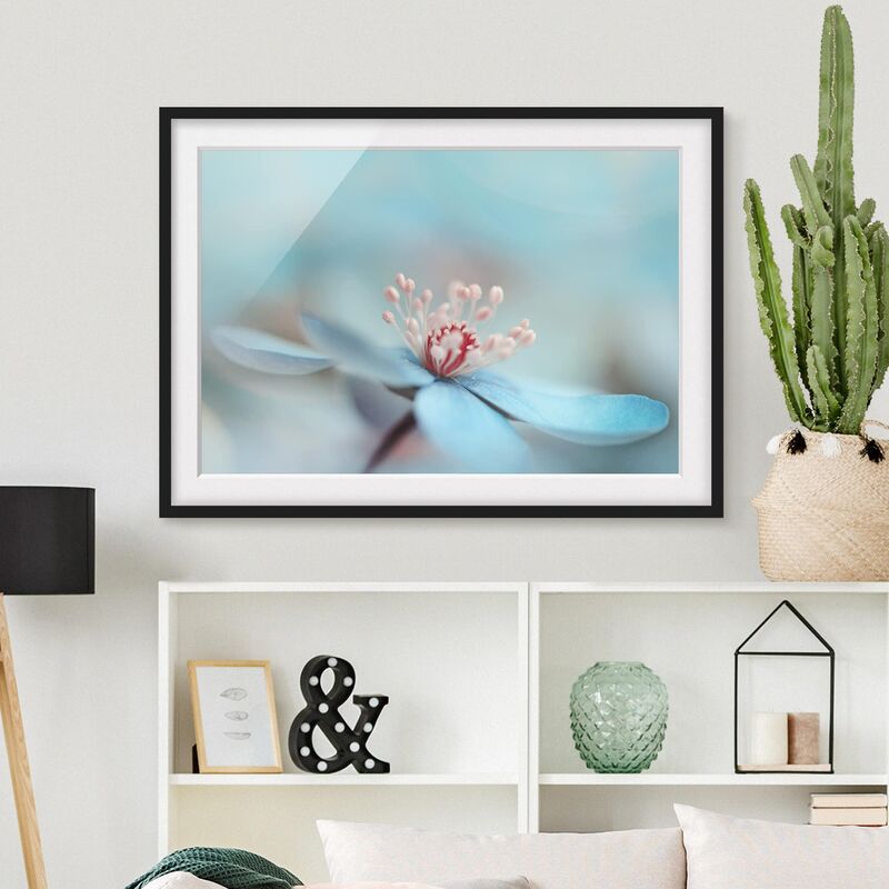 

Póster enmarcado - Flowers In Light Blue Dimensión LxA: 50cm x 70cm, Marco: Negro
