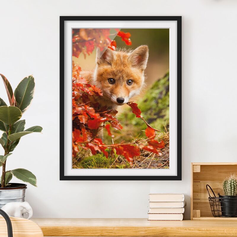 

Póster enmarcado - Fox In The Fall Dimensión LxA: 70cm x 50cm, Marco: Negro