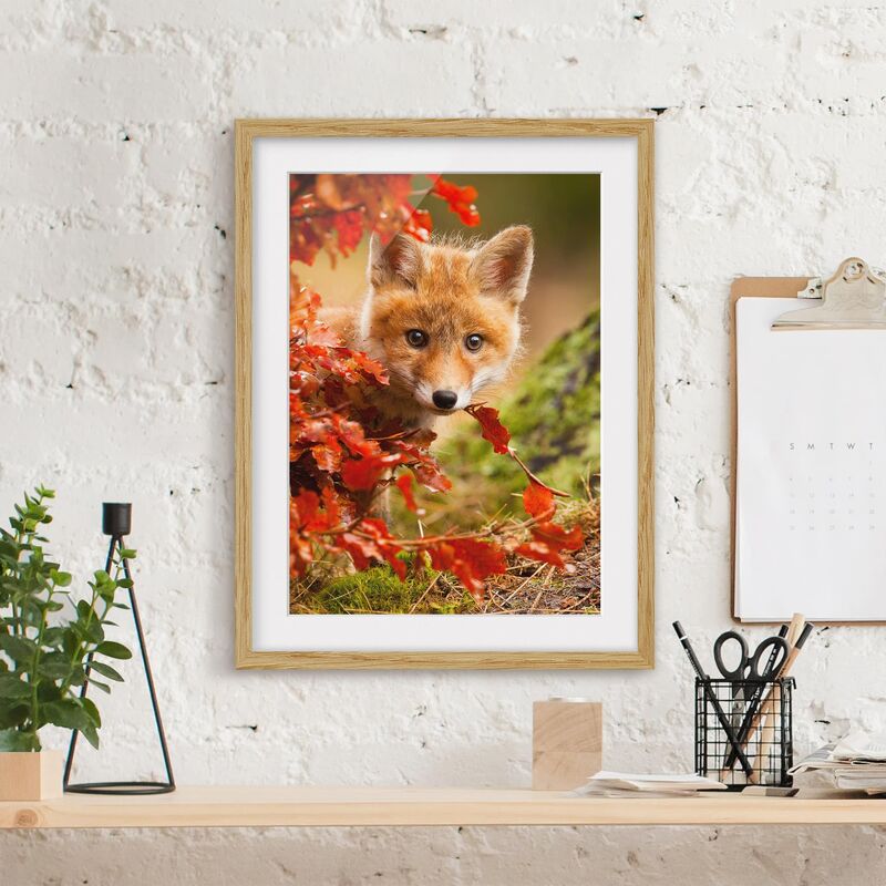 

Póster enmarcado - Fox In The Fall Dimensión LxA: 24cm x 18cm, Marco: Roble