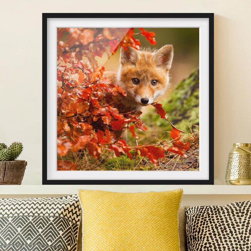 

Póster enmarcado - Fox In The Fall Dimensión LxA: 70cm x 70cm, Marco: Negro