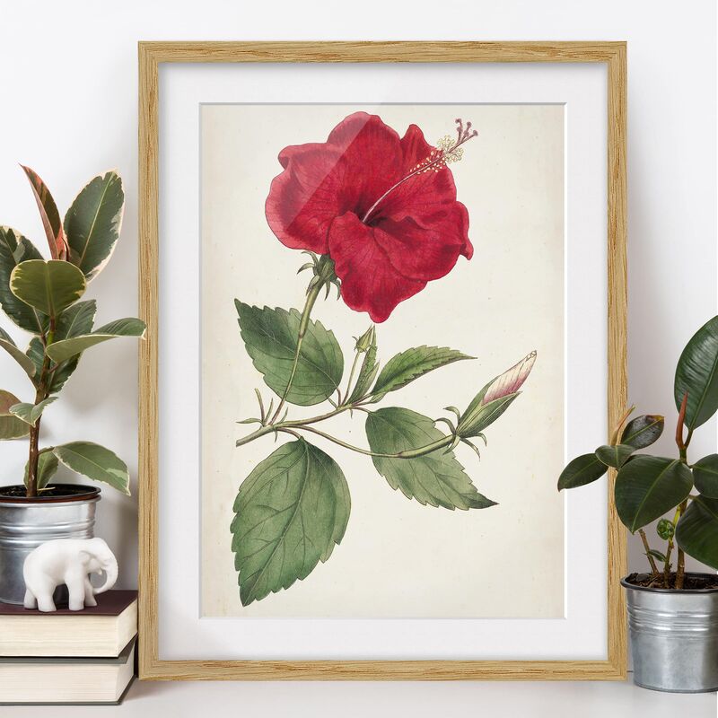 

Póster enmarcado - Giardino Bellezza Iii Dimensión LxA: 70cm x 50cm, Marco: Roble