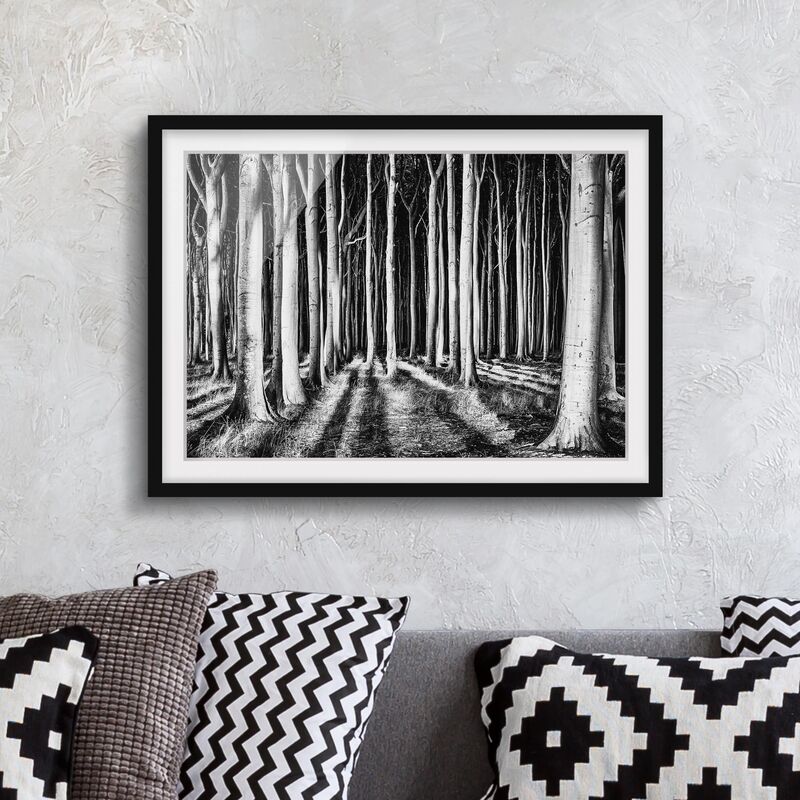 

Póster enmarcado - Ghost Forest Dimensión LxA: 40cm x 55cm, Marco: Negro