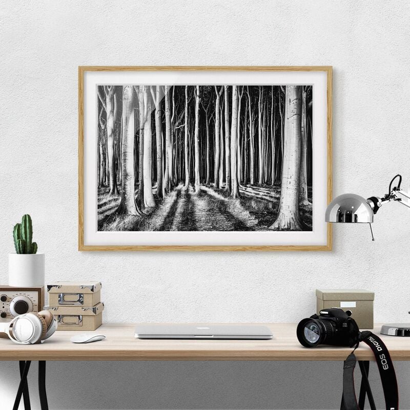 

Póster enmarcado - Ghost Forest Dimensión LxA: 40cm x 55cm, Marco: Roble