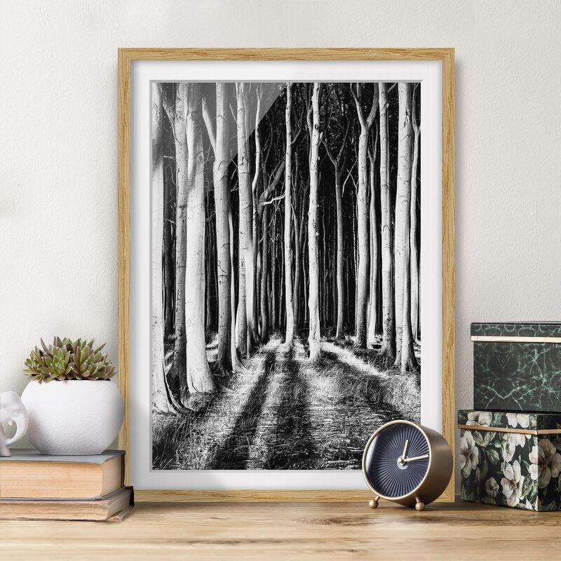 

Póster enmarcado - Ghostly Forest Dimensión LxA: 40cm x 30cm, Marco: Roble