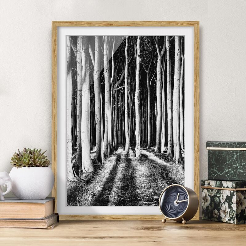

Póster enmarcado - Ghostly Forest Dimensión LxA: 55cm x 40cm, Marco: Roble