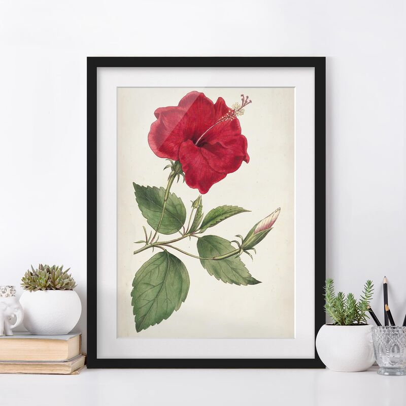 

Póster enmarcado - Giardino Bellezza Iii Dimensión LxA: 24cm x 18cm, Marco: Negro