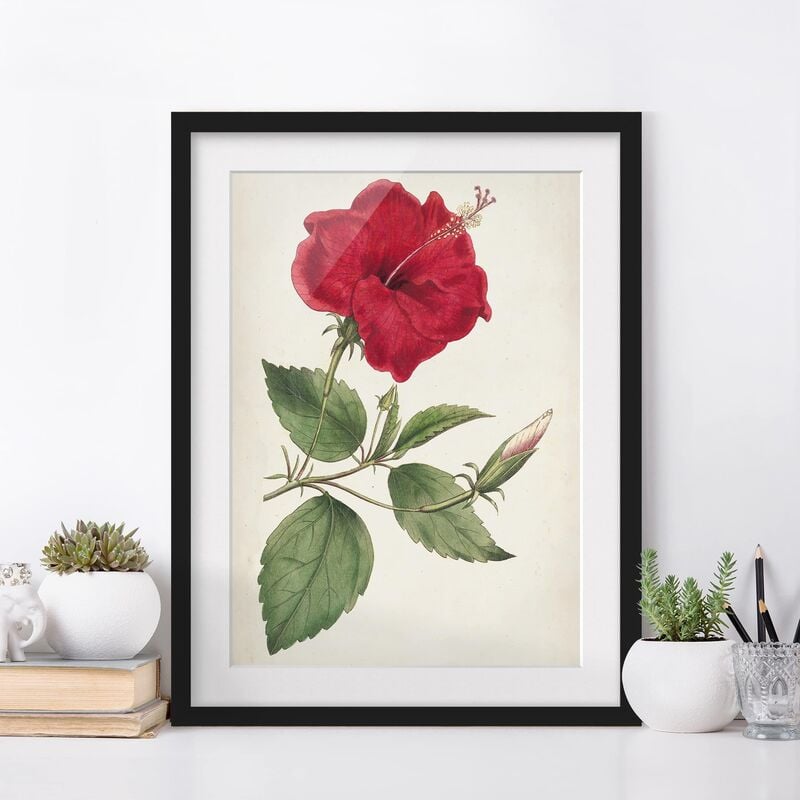 

Póster enmarcado - Giardino Bellezza Iii Dimensión LxA: 100cm x 70cm, Marco: Negro