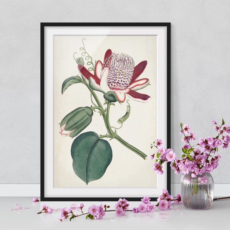 

Póster enmarcado - Giardino Bellezza Iv Dimensión LxA: 100cm x 70cm, Marco: Negro