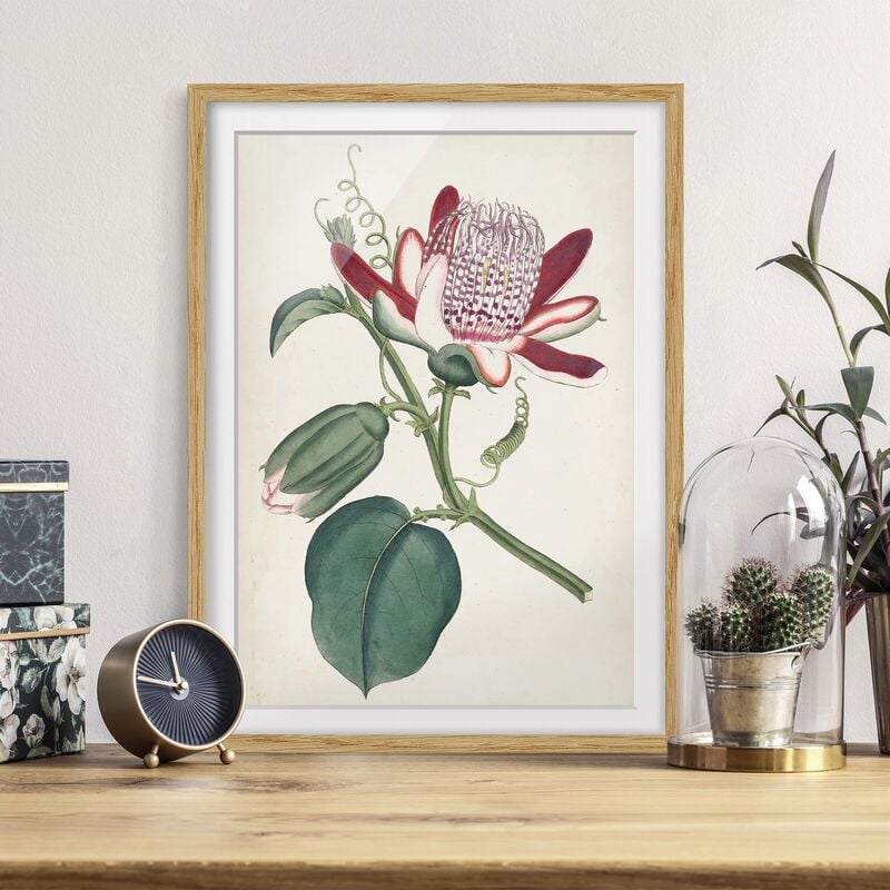 

Póster enmarcado - Giardino Bellezza Iv Dimensión LxA: 24cm x 18cm, Marco: Roble