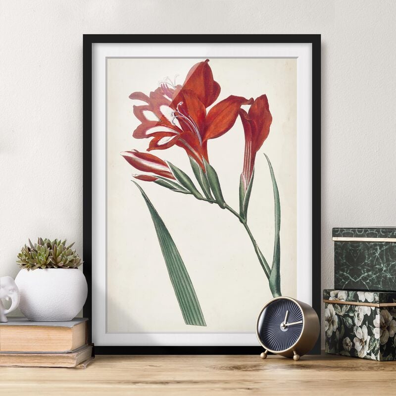 

Póster enmarcado - Giardino Bellezza Vi Dimensión LxA: 70cm x 50cm, Marco: Negro