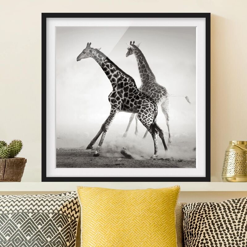 

Póster enmarcado - Giraffe Hunting Dimensión LxA: 70cm x 70cm, Marco: Negro