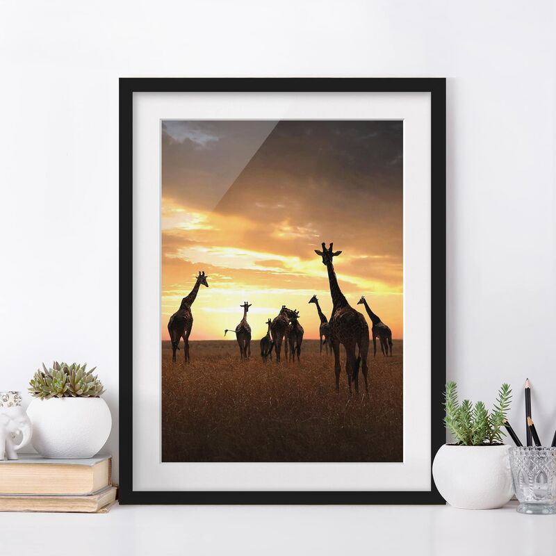 

Póster enmarcado - Giraffe Family Dimensión LxA: 70cm x 50cm, Marco: Negro